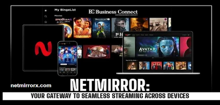 Introduction to netmirror APK